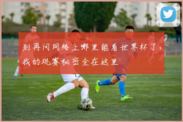 别再问网络上哪里能看世界杯了，我的观赛秘密全在这里